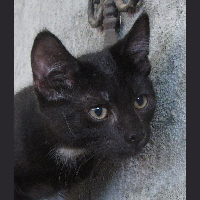 Photo of Jonsey