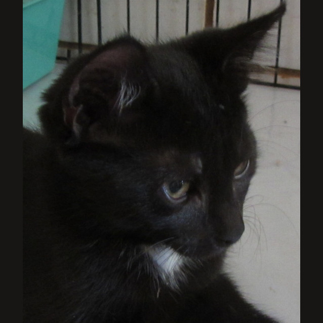 Photo of Jonsey