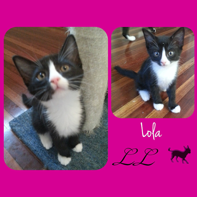 Photo of Lola