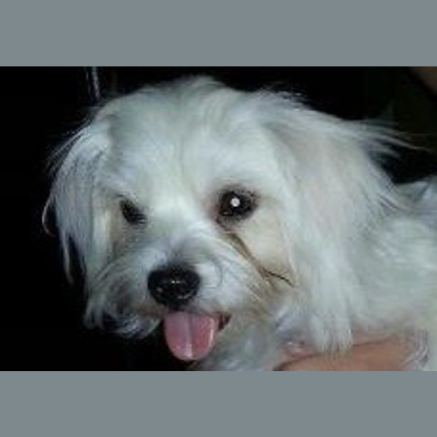 Photo of Benson