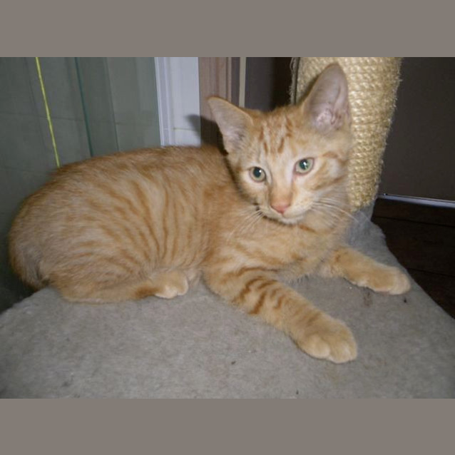 Photo of Sammy