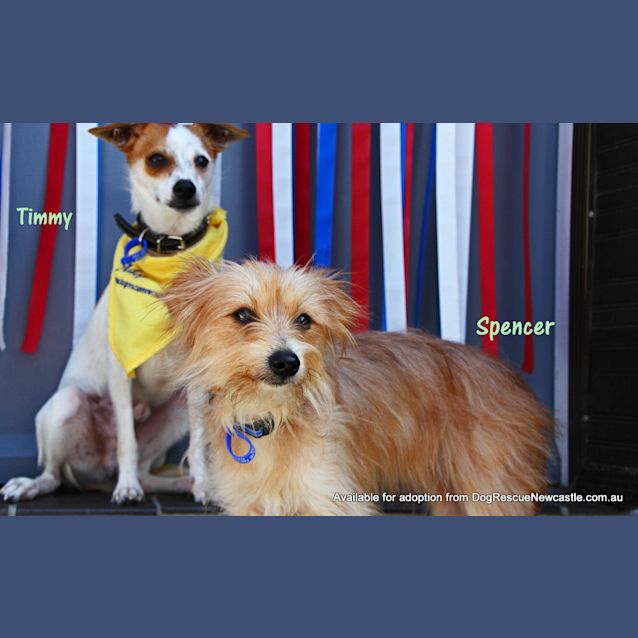 Photo of Spencer & Timmy (On Trial 1/2/13)