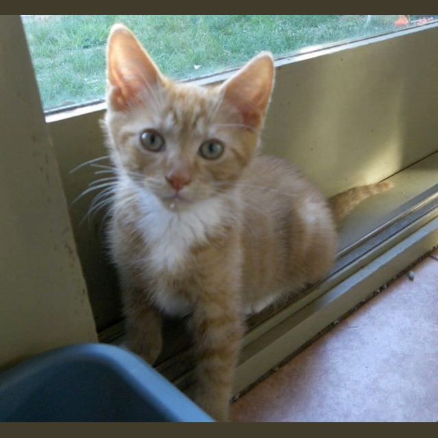 Photo of Leonard