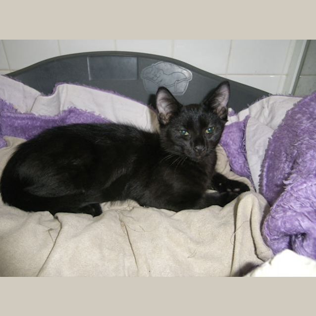 Photo of Jasper