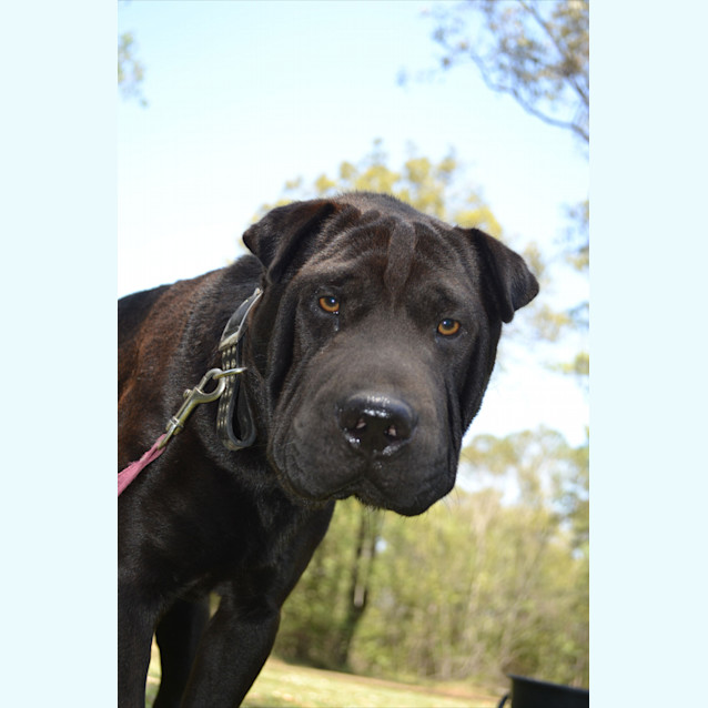 Photo of Rolly
