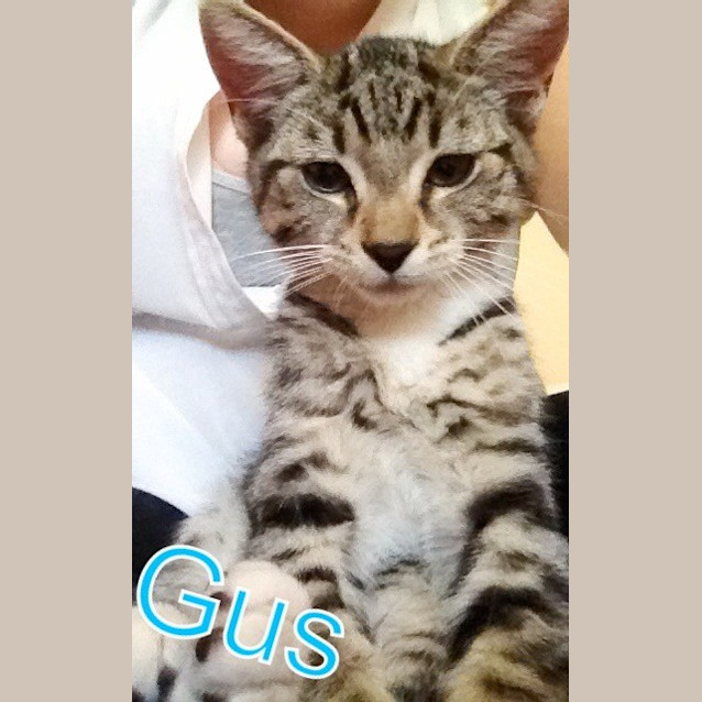 Photo of Gus