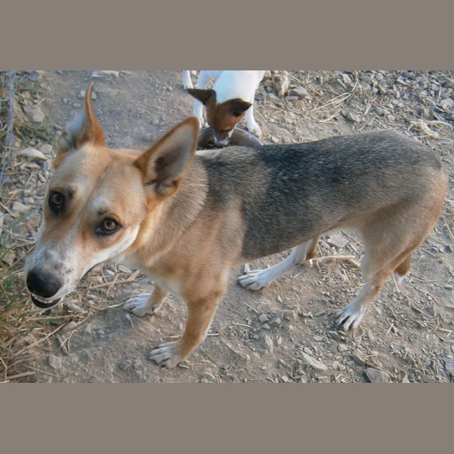 Photo of Zena