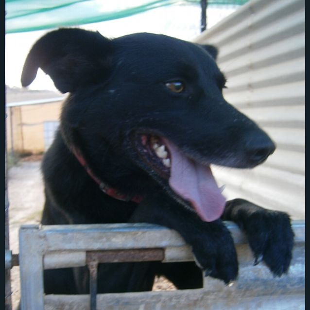 Photo of Ace