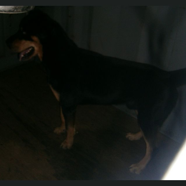 Photo of Levi