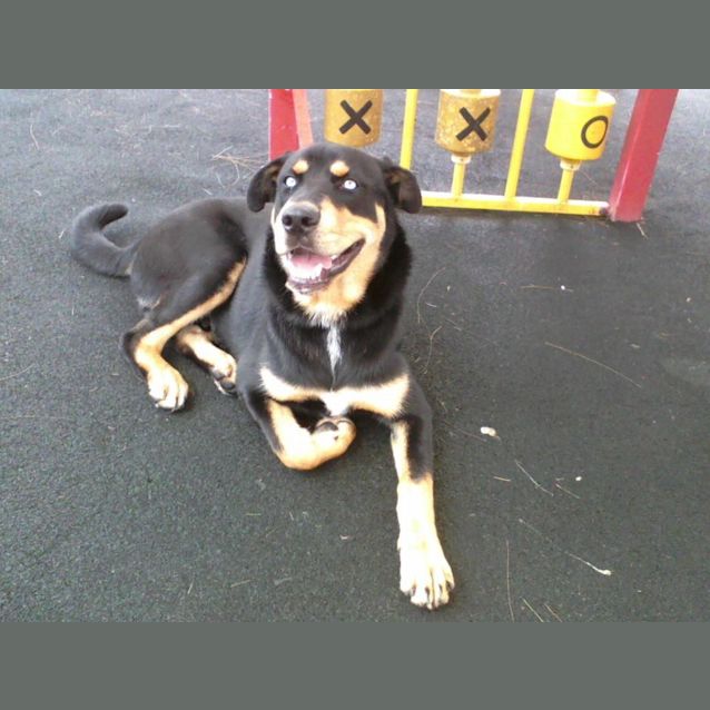 Photo of Levi