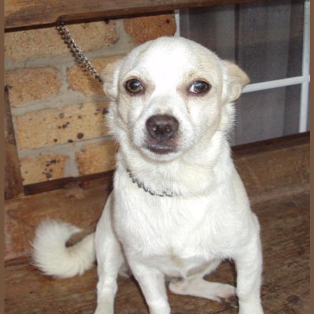 Photo of Fubu