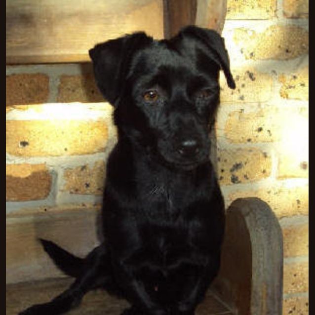 Photo of Pierro