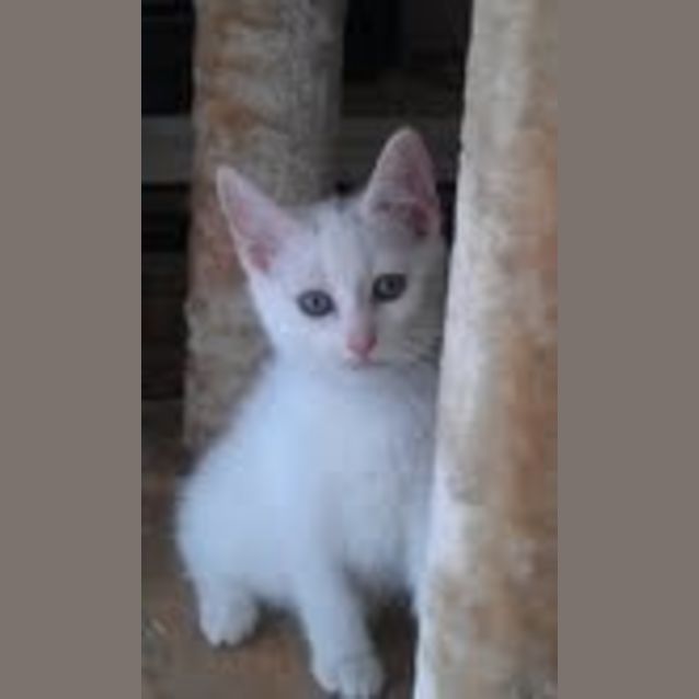 Photo of Holly