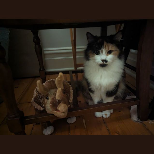 Photo of Ursula