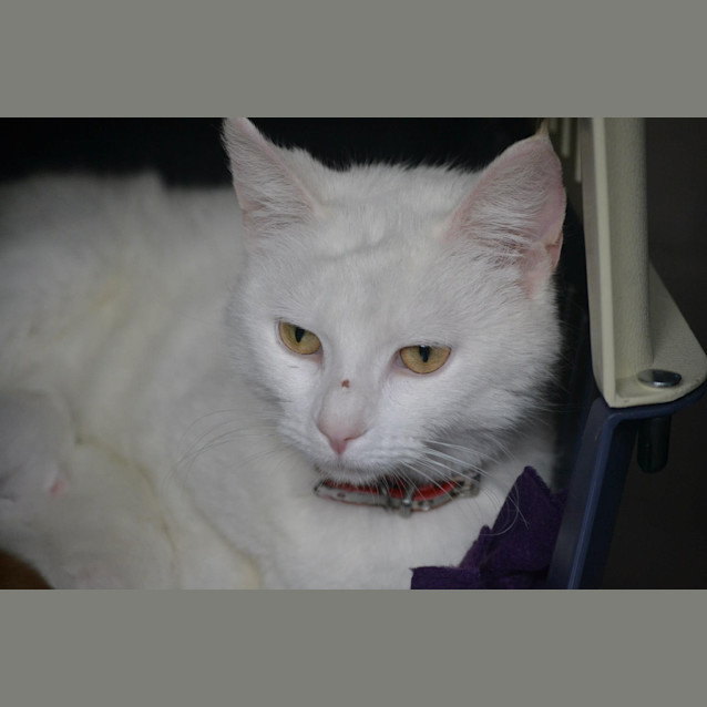 Photo of Milly