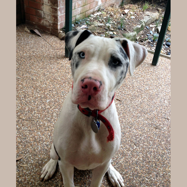 Photo of Max