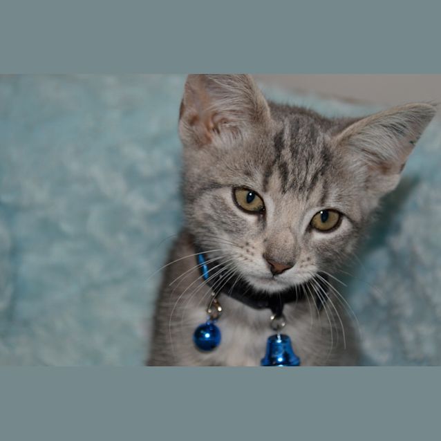 Photo of Abby