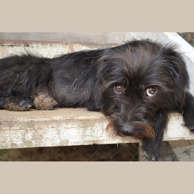 Photo of Holly