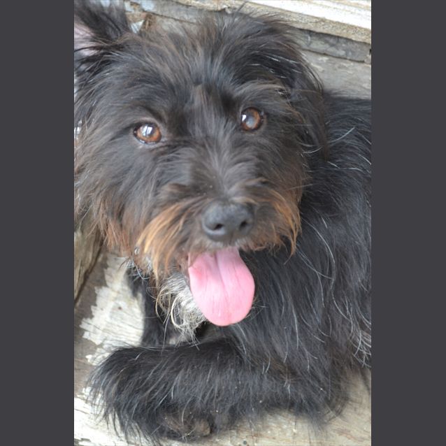 Photo of Holly