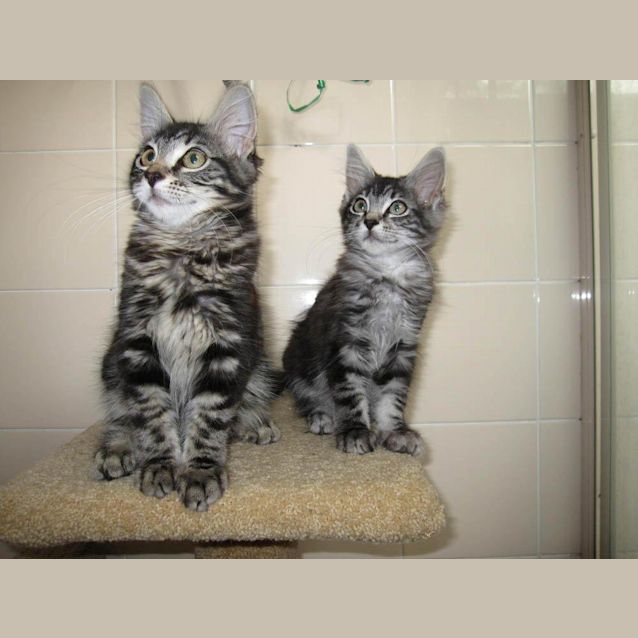 Photo of Floyd On Trial In His New Home