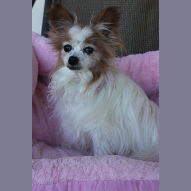 Photo of Princess Chrissi