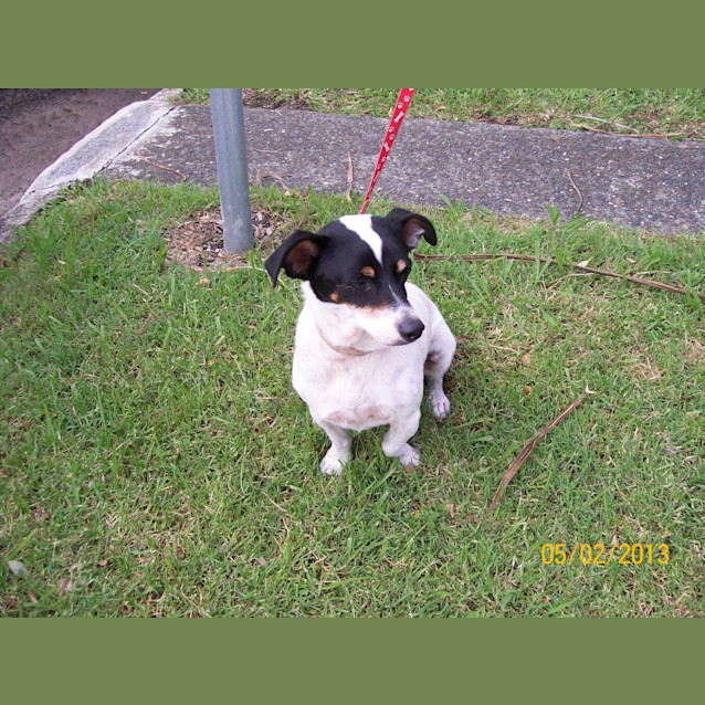 Photo of Bella