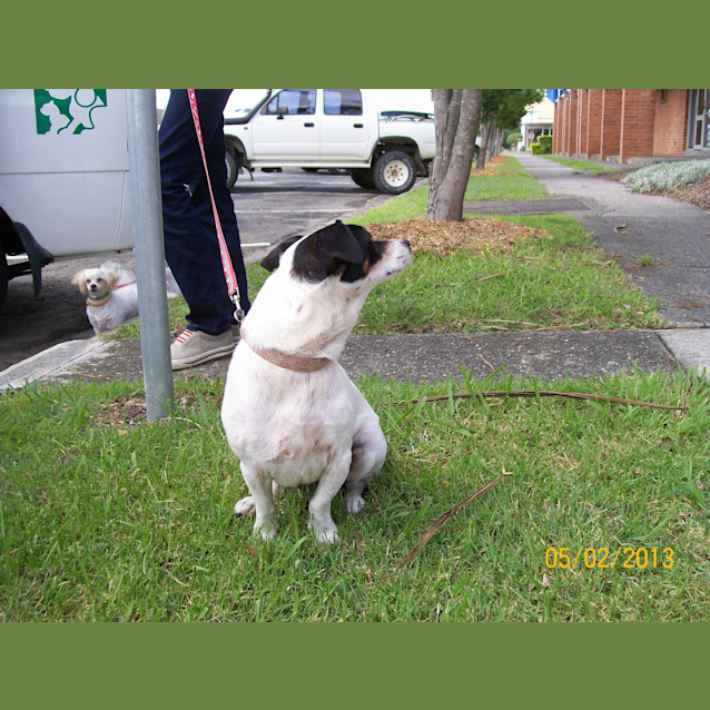 Photo of Bella