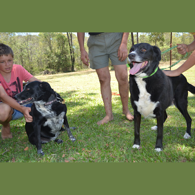 Photo of Izzy & Lizzy