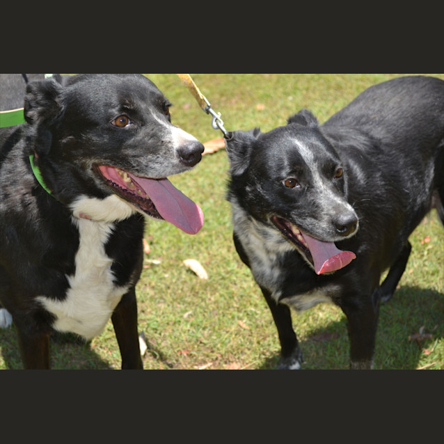 Photo of Izzy & Lizzy