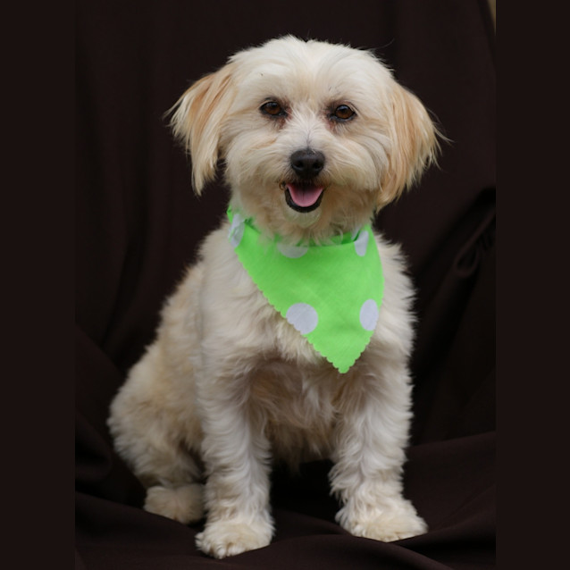 Photo of Wanda