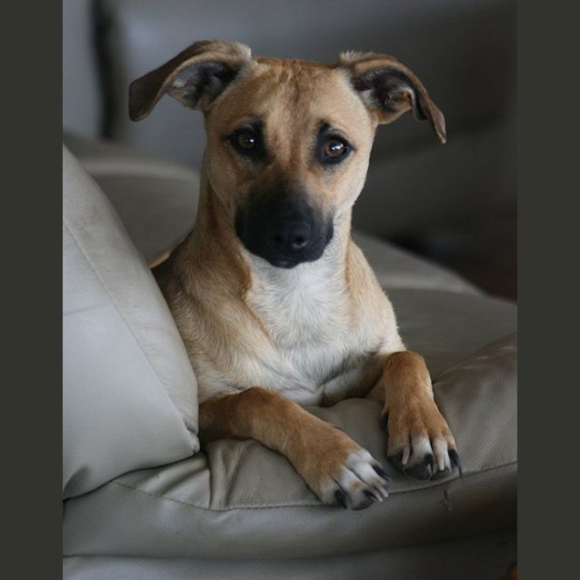 Photo of Olivia