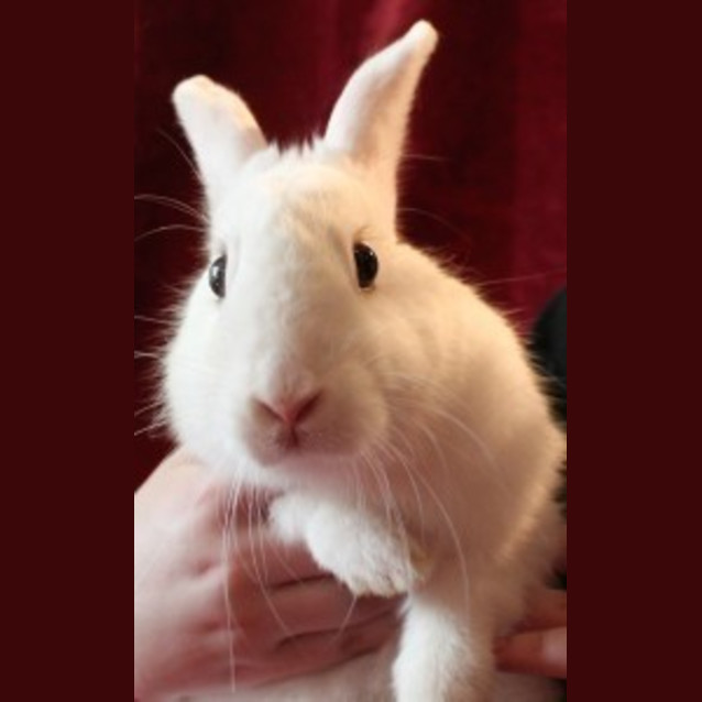 Photo of Lily
