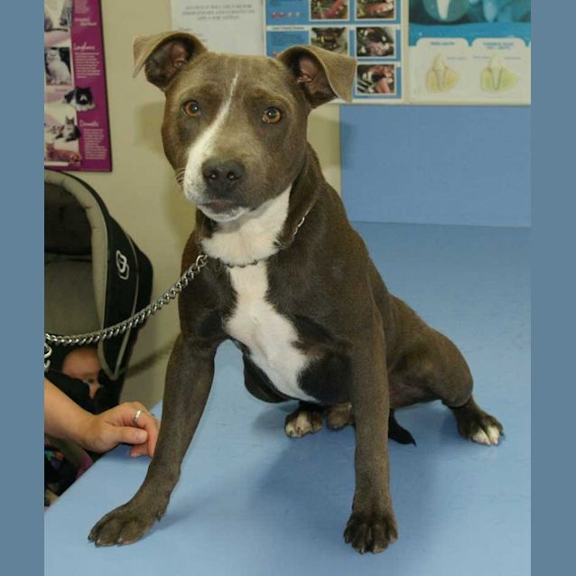 Photo of Jax