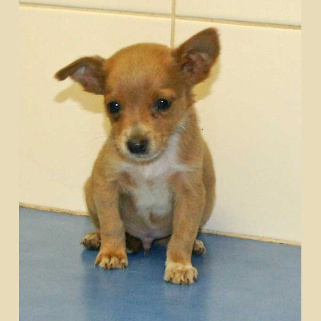 Photo of Theodore