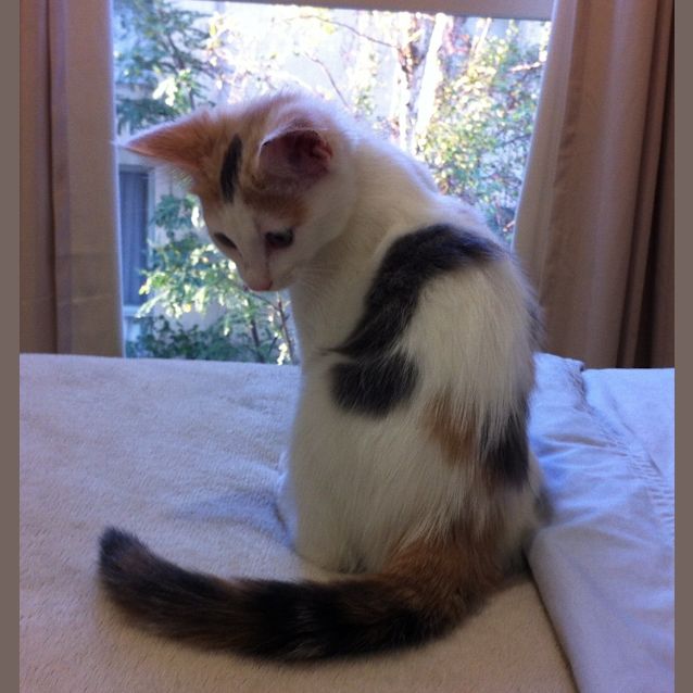 Photo of Millie