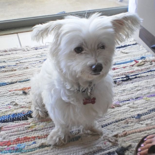 Photo of Molly