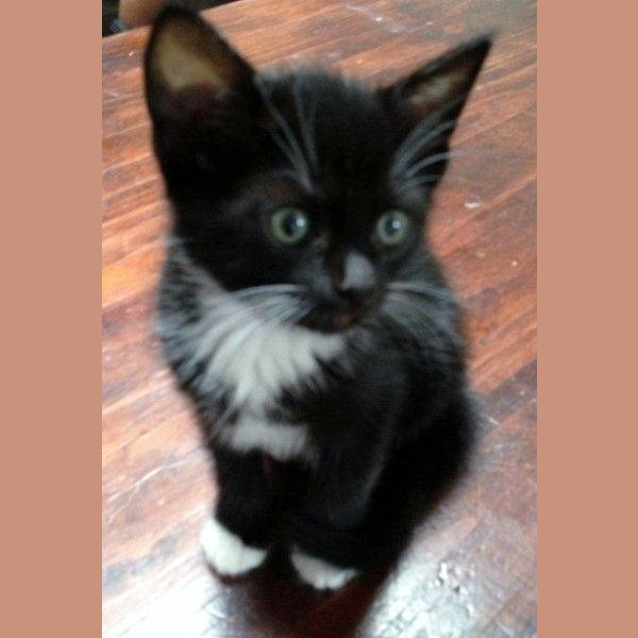 Photo of Chloe
