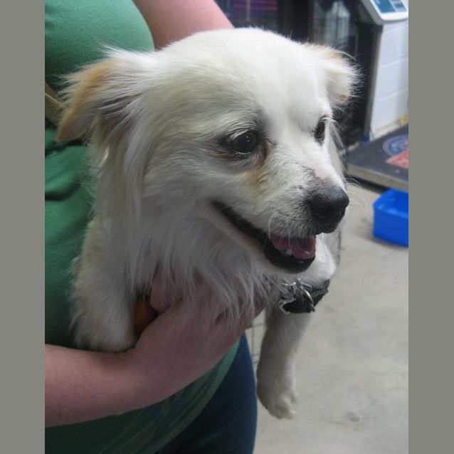 Photo of Macy