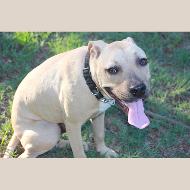 Photo of Max