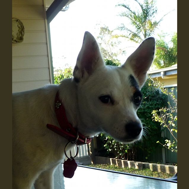 Photo of Pippa #1466