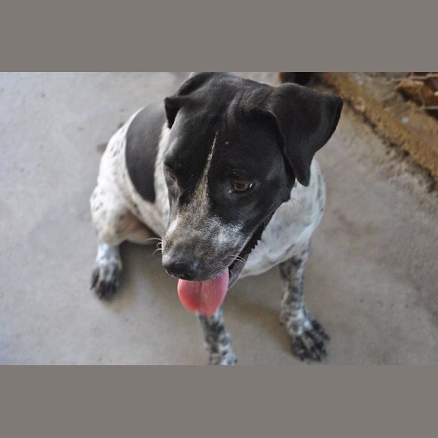 Photo of Lucky