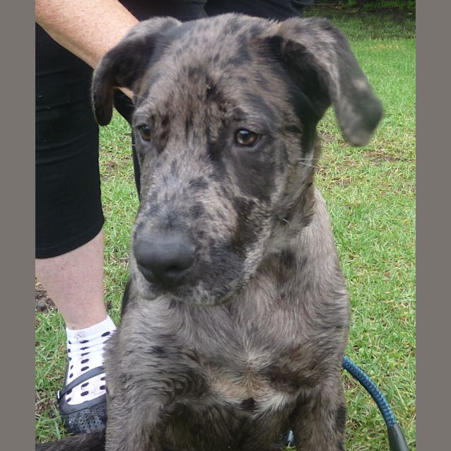 Photo of Tank