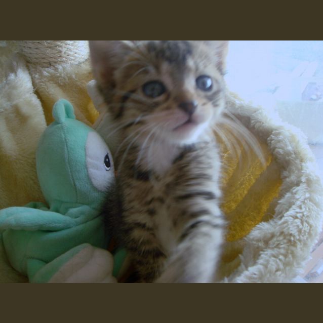 Photo of Twinkle