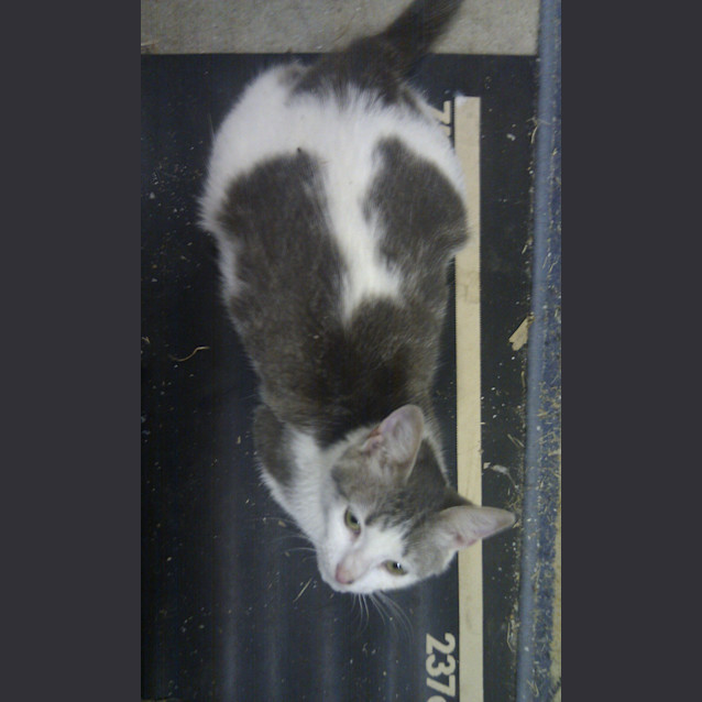 Photo of Momma Mavis