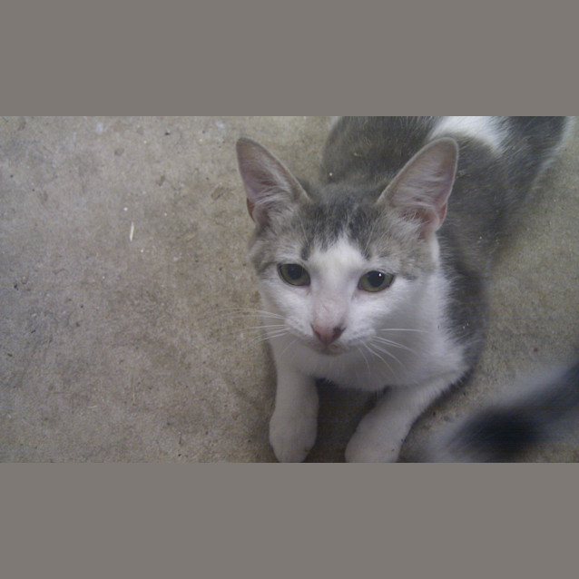 Photo of Momma Mavis