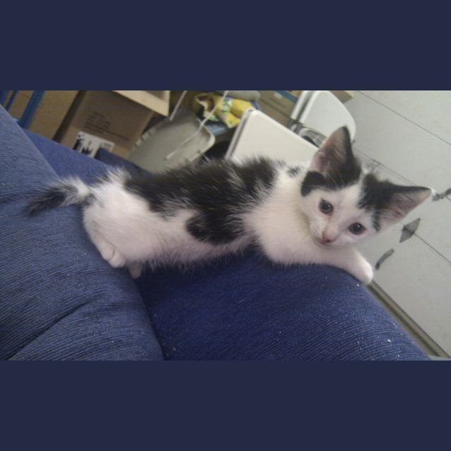 Photo of Harry