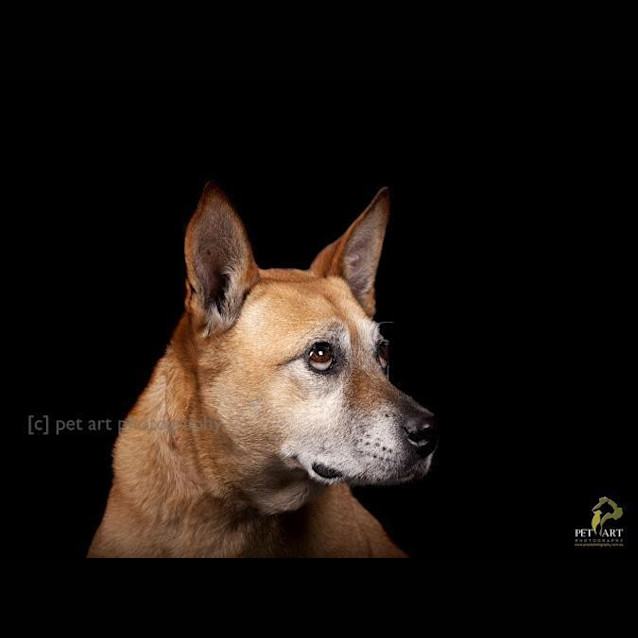 Photo of Rhodie   Such A Gorgeous Girl