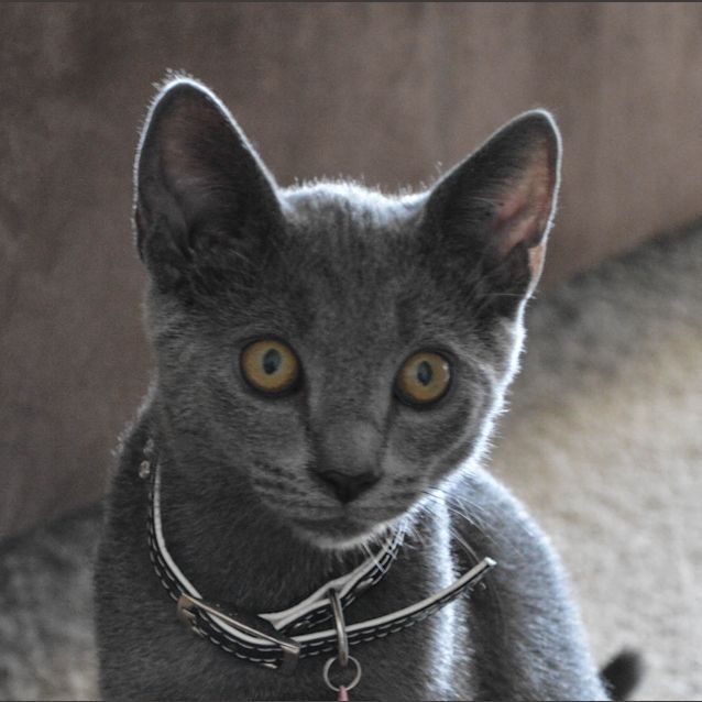 Photo of Bill