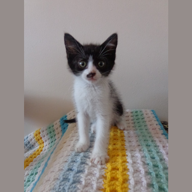 Photo of Mo