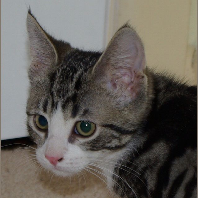 Photo of Lilith